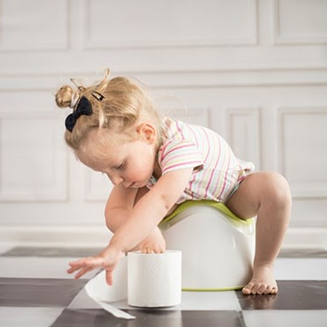 Potty Training your Toddler – le bébé +